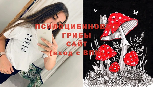 молекула духа Лабытнанги