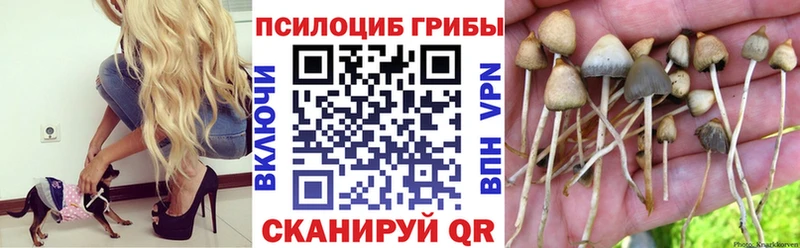 Галлюциногенные грибы мицелий  Купить  Усмань 